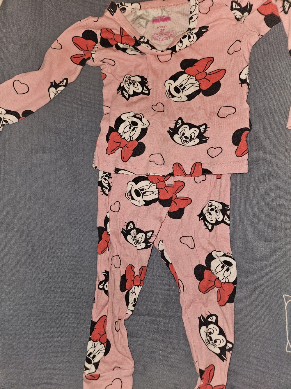 Minnie Mouse and Cat Pink Girls Pajama Set 3T